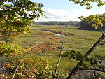 Cheesequake sp marsh